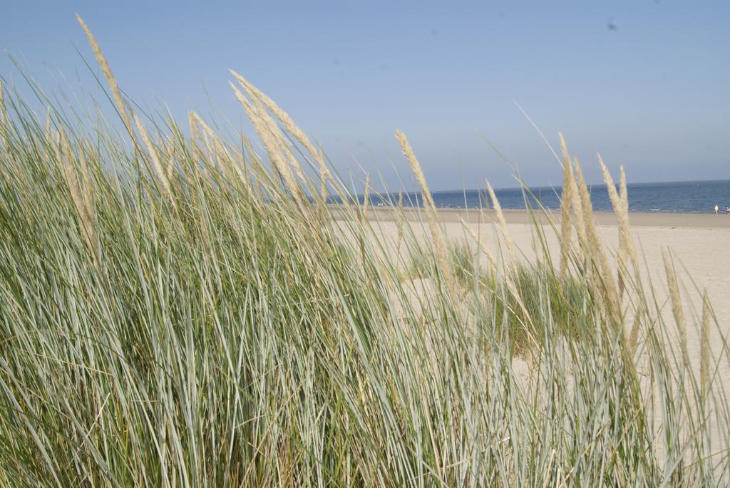 Suite School 15 A Zonnemaire Værelse billede